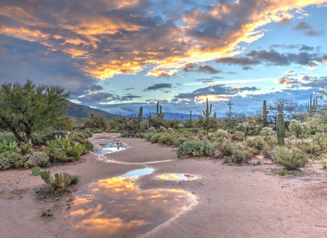 Online Therapy in Arizona (AZ)